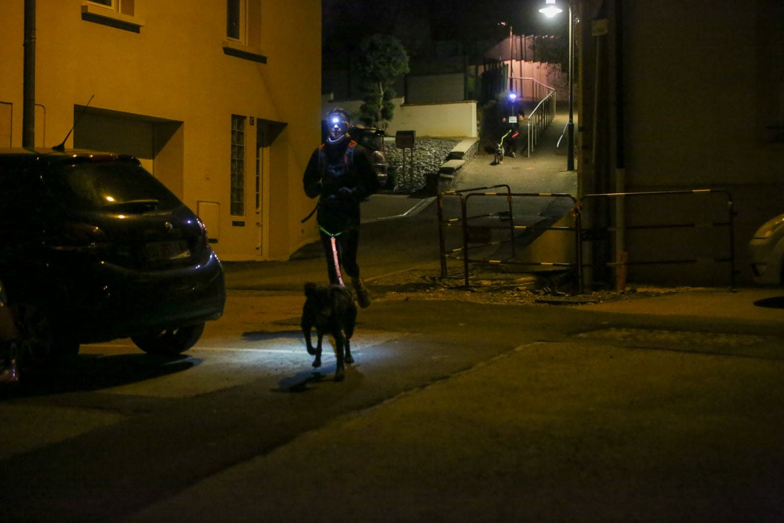 L'Embuscade de Volkrange - image