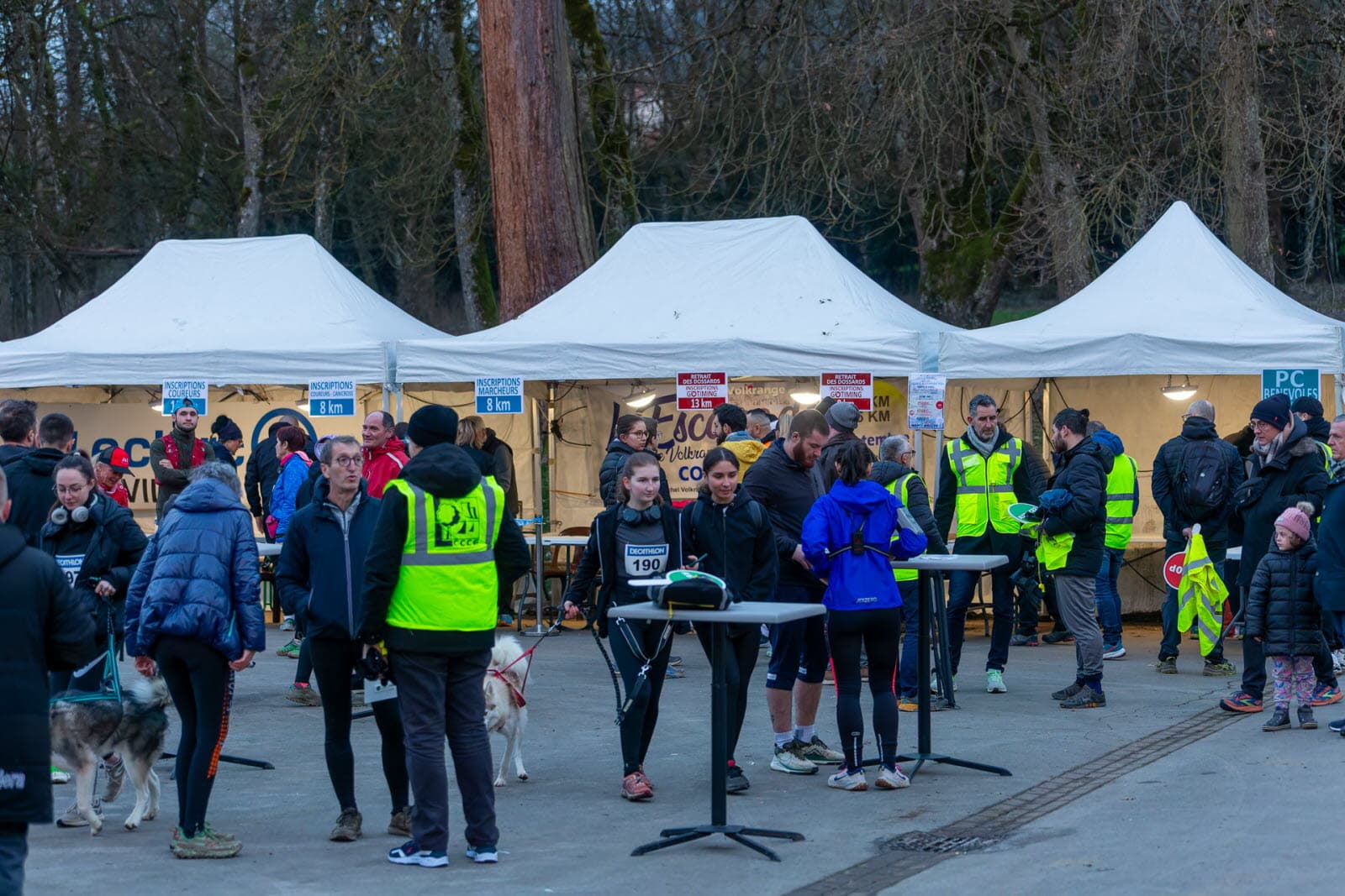 L'Embuscade de Volkrange - image