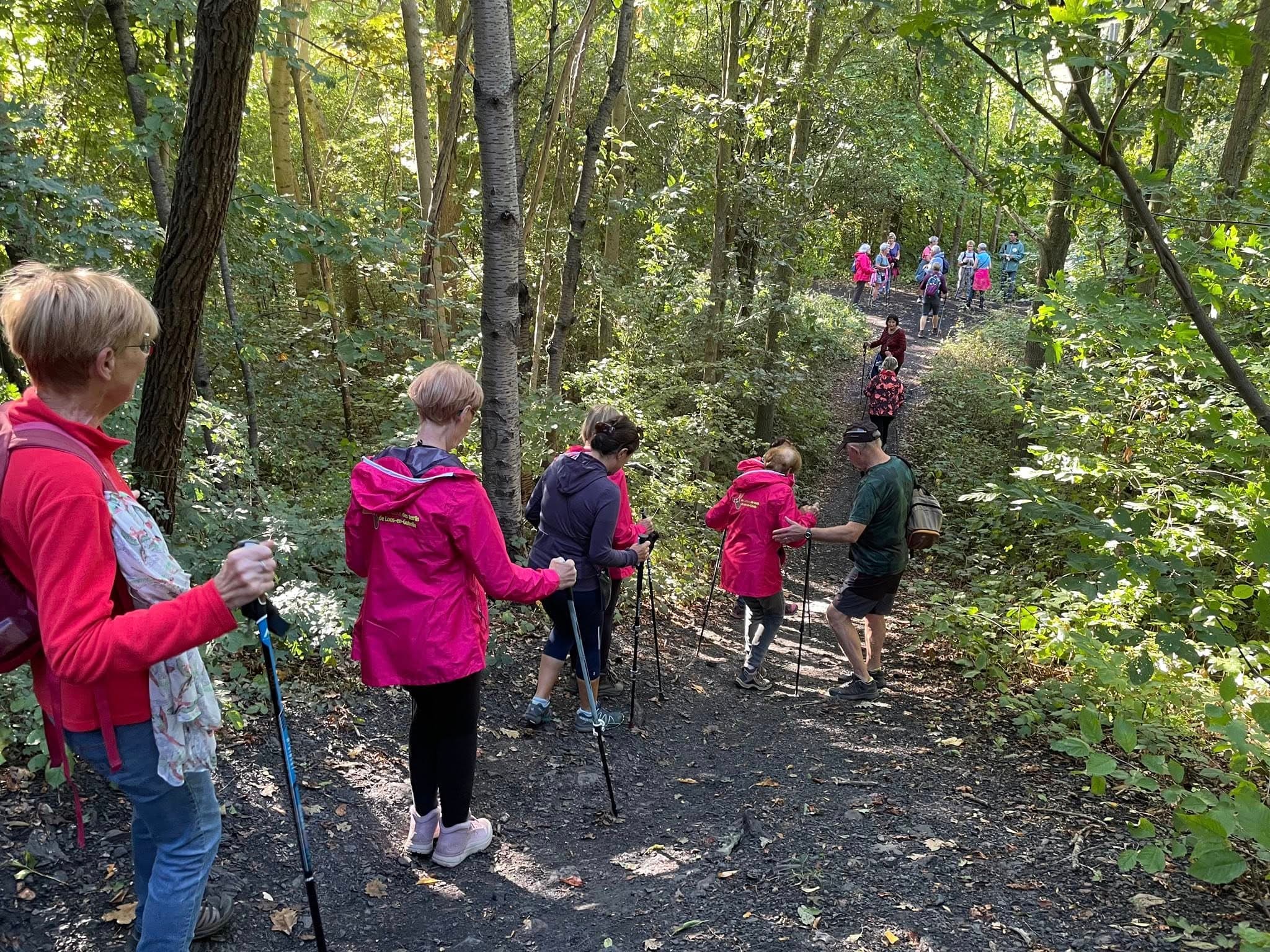 Randonnée de la Gohelle - image