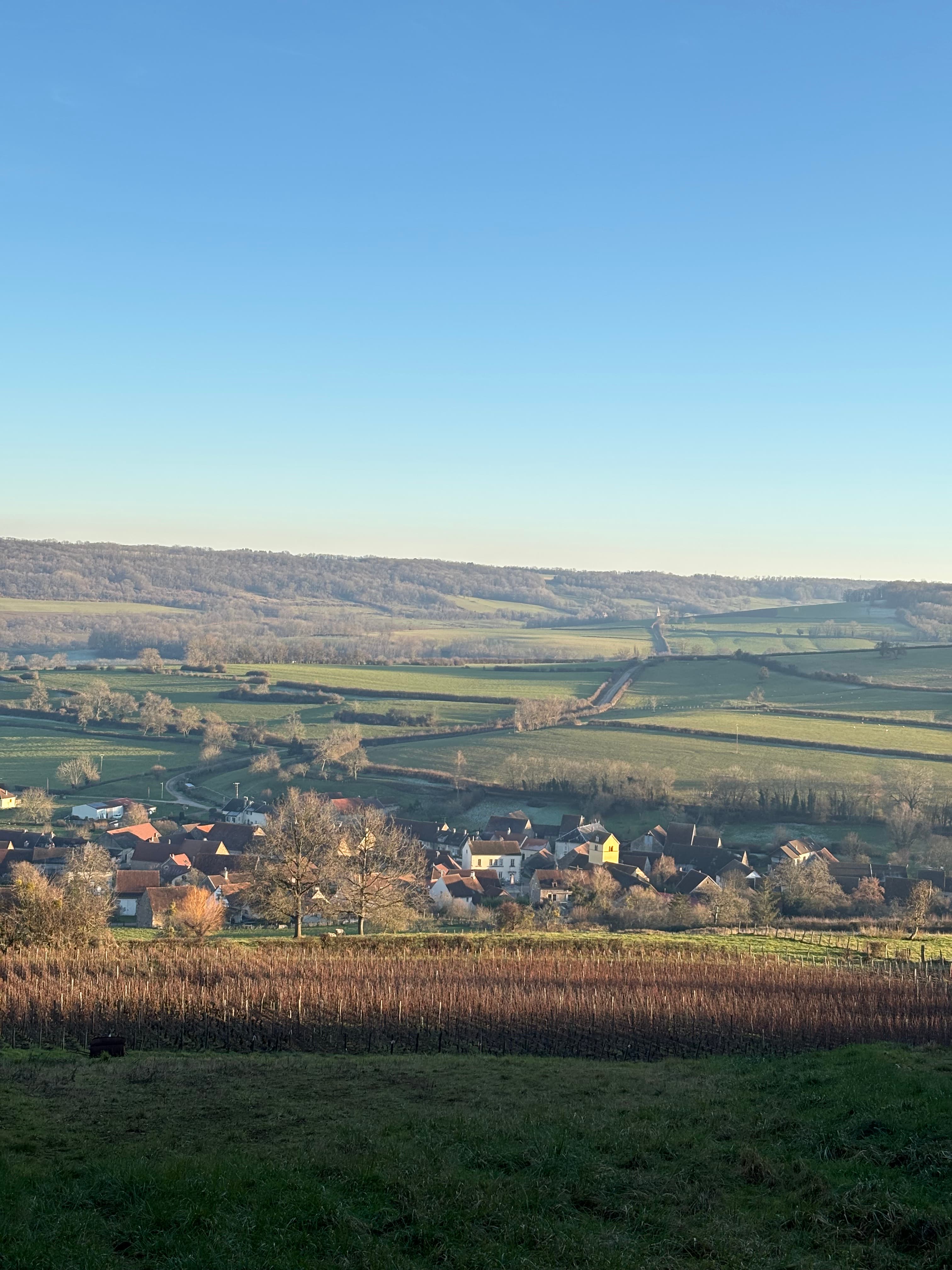 Trail Côtelettes - image