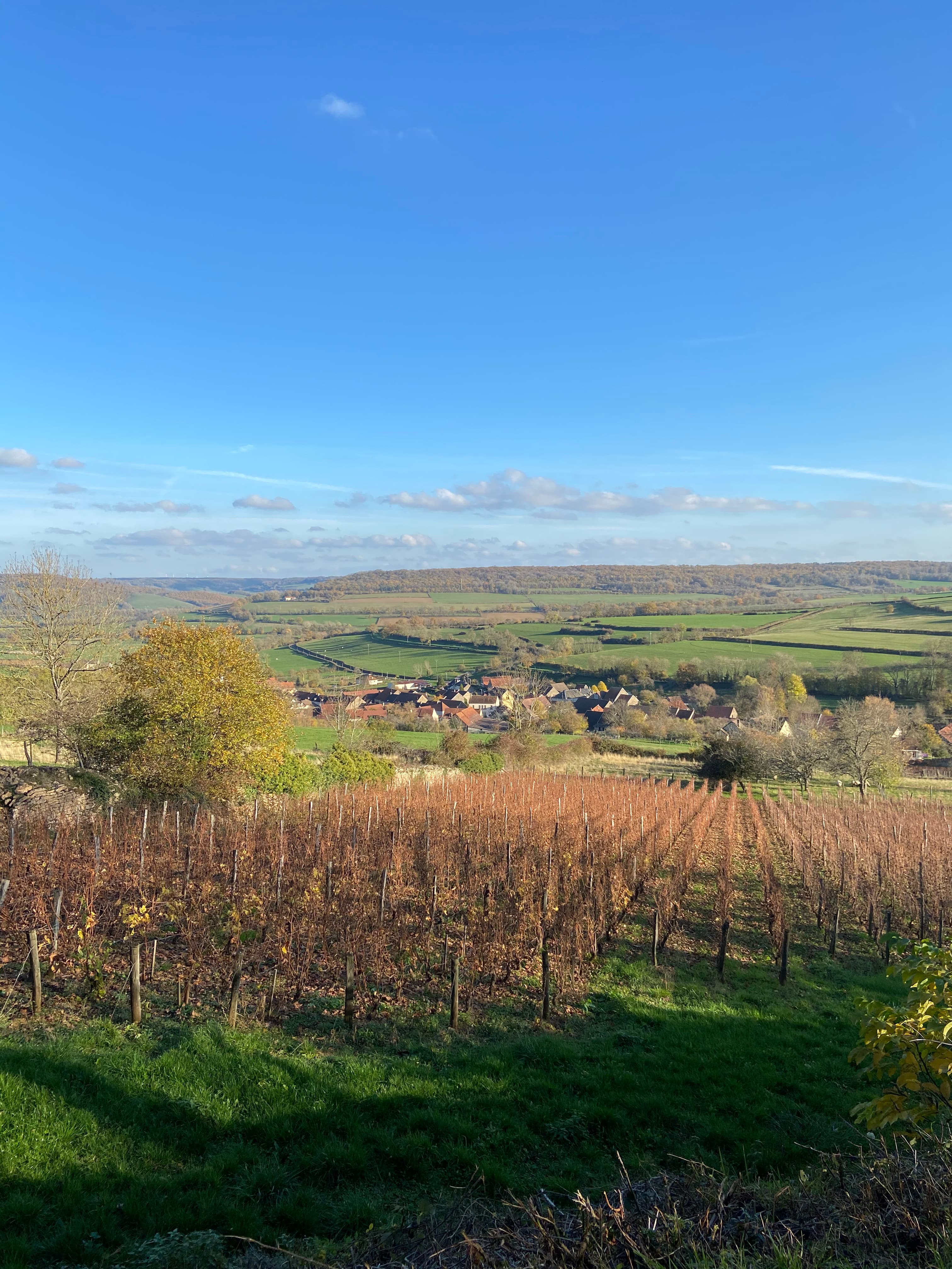 Trail Côtelettes - image