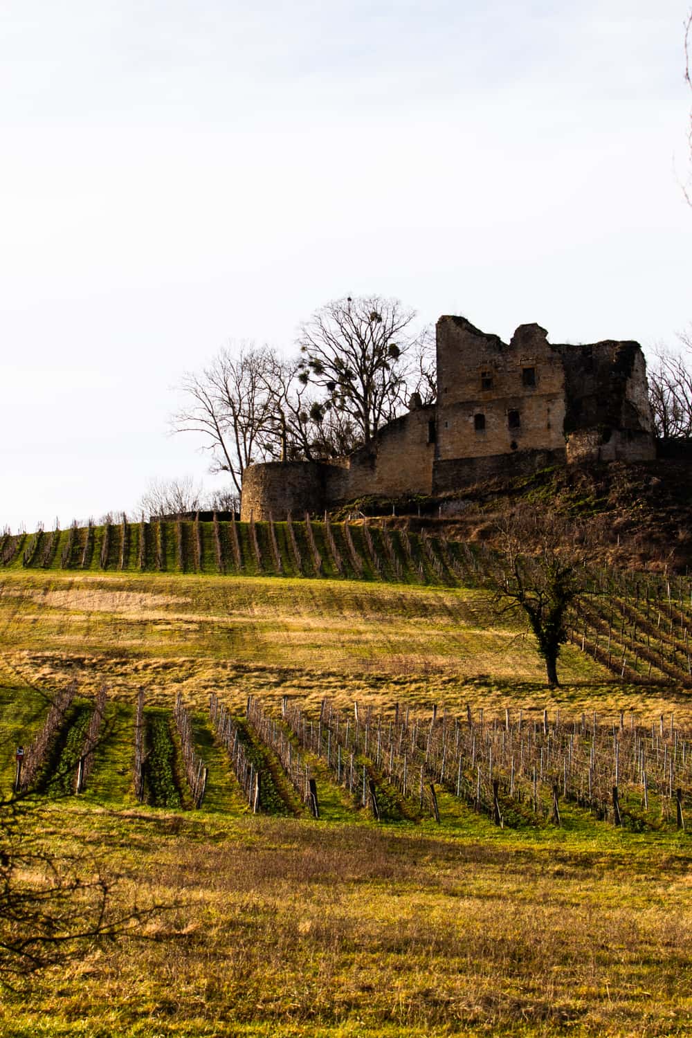 Trail des Ruines - image 2