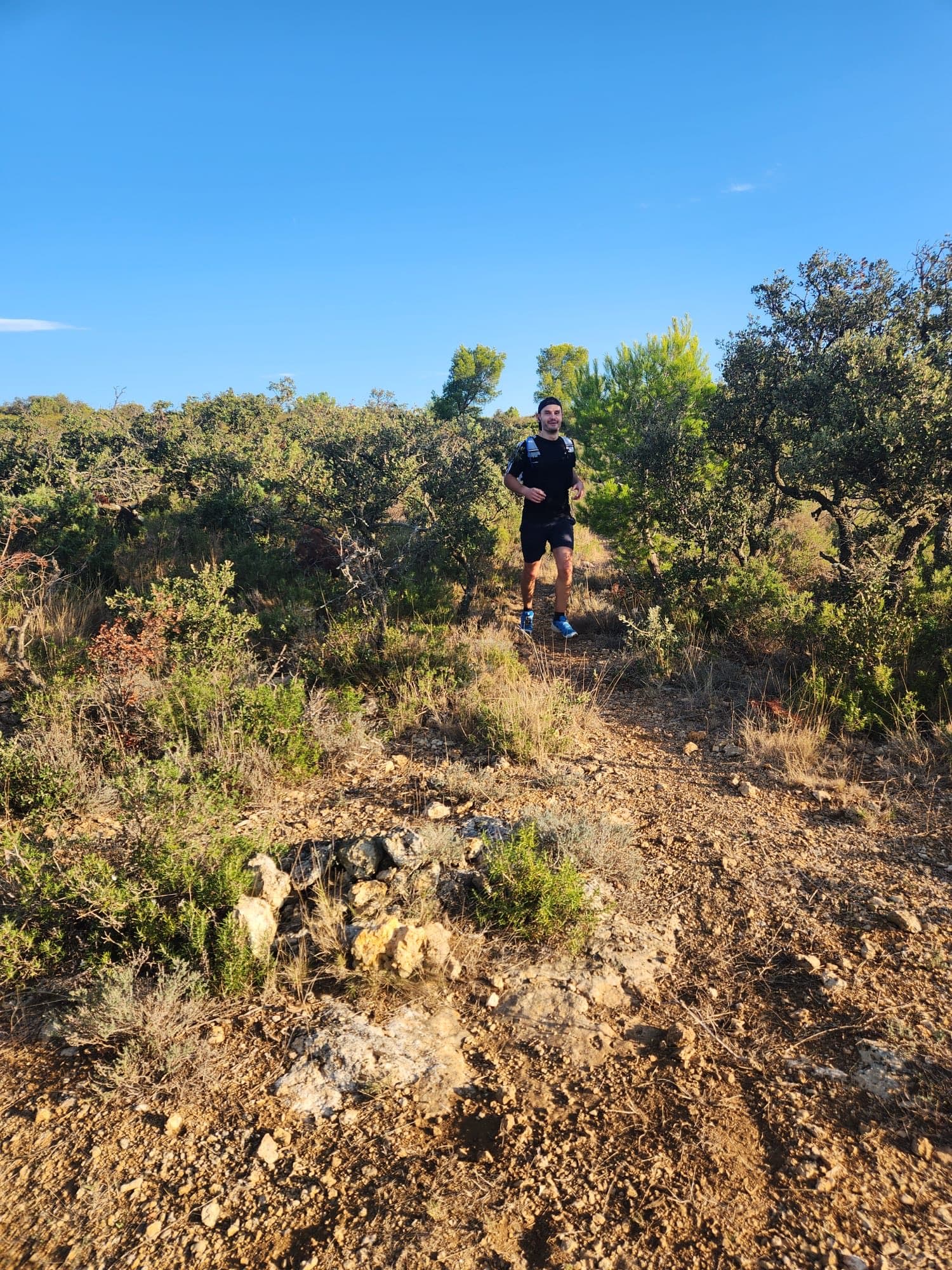 L'Ornaisonnaise - image 2