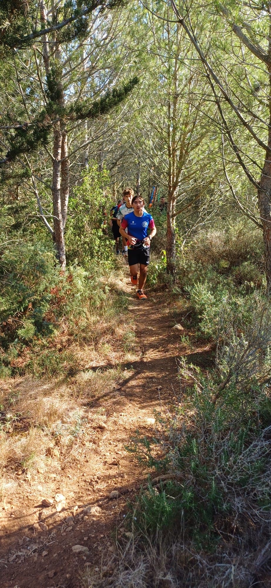 L'Ornaisonnaise - image 5