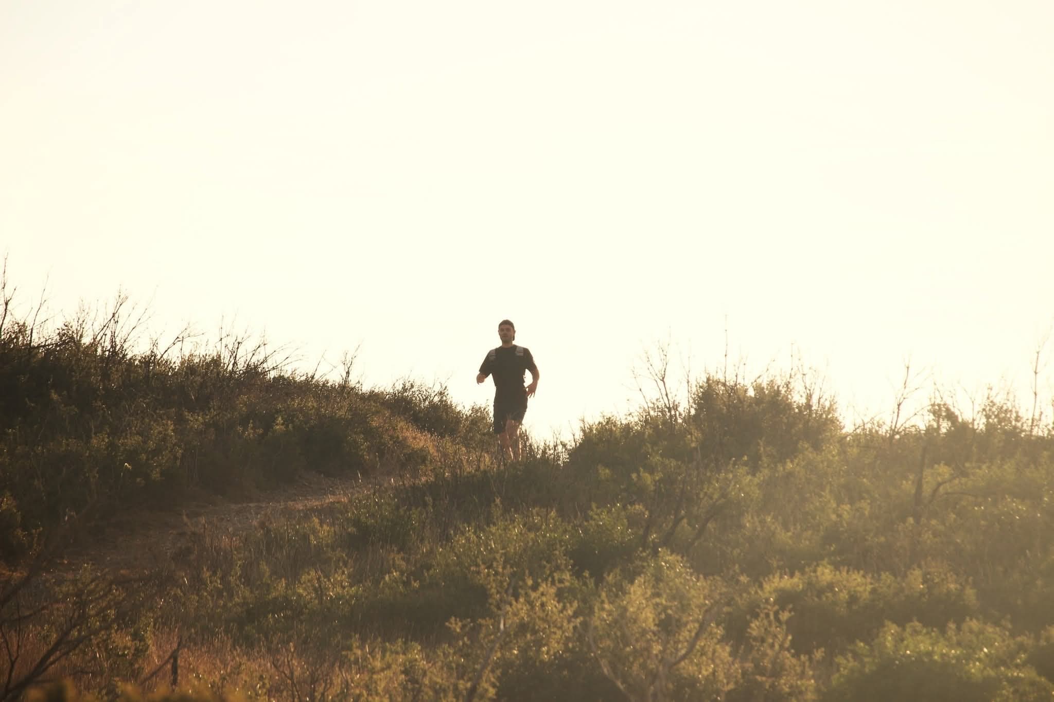 L'Ornaisonnaise - image 4