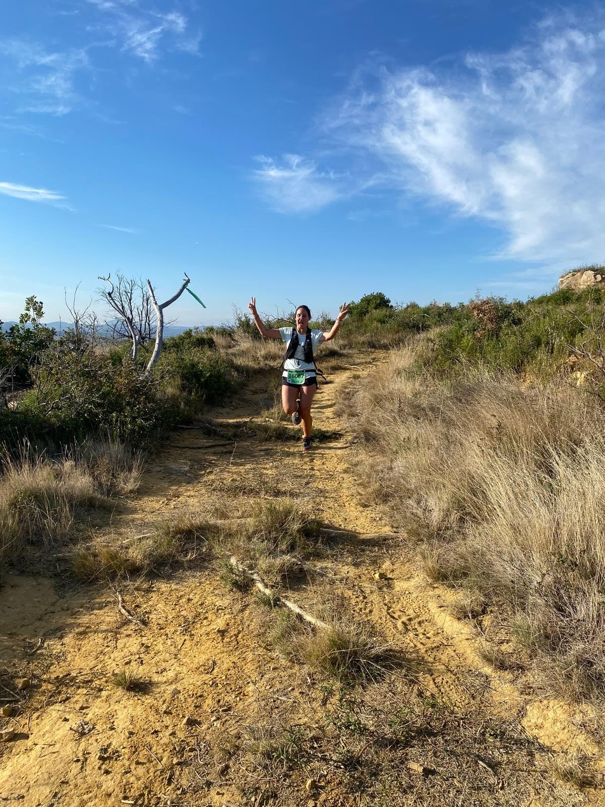 L'Ornaisonnaise - image 3