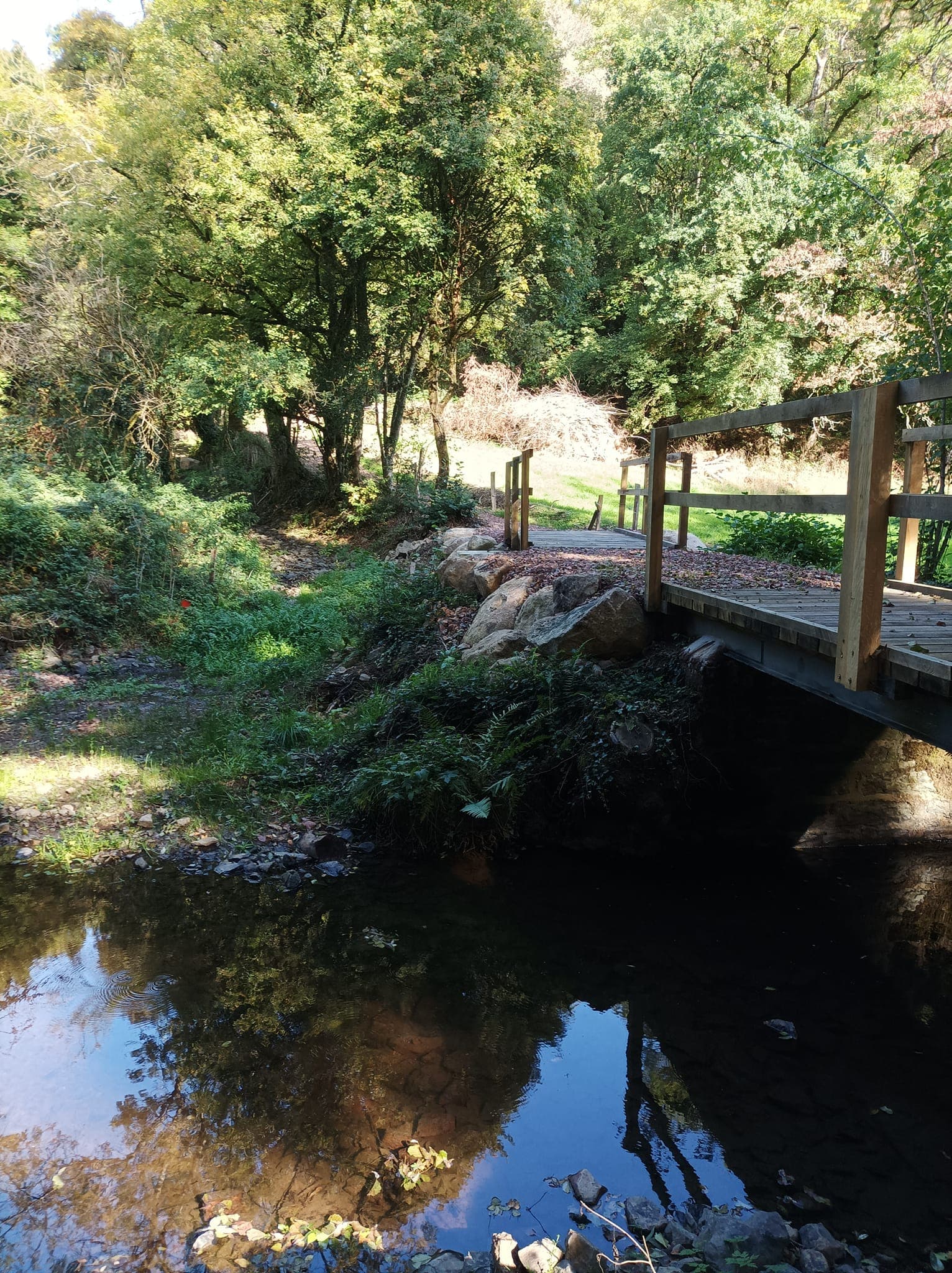 Trail de la vallée de la Souleuvre - image