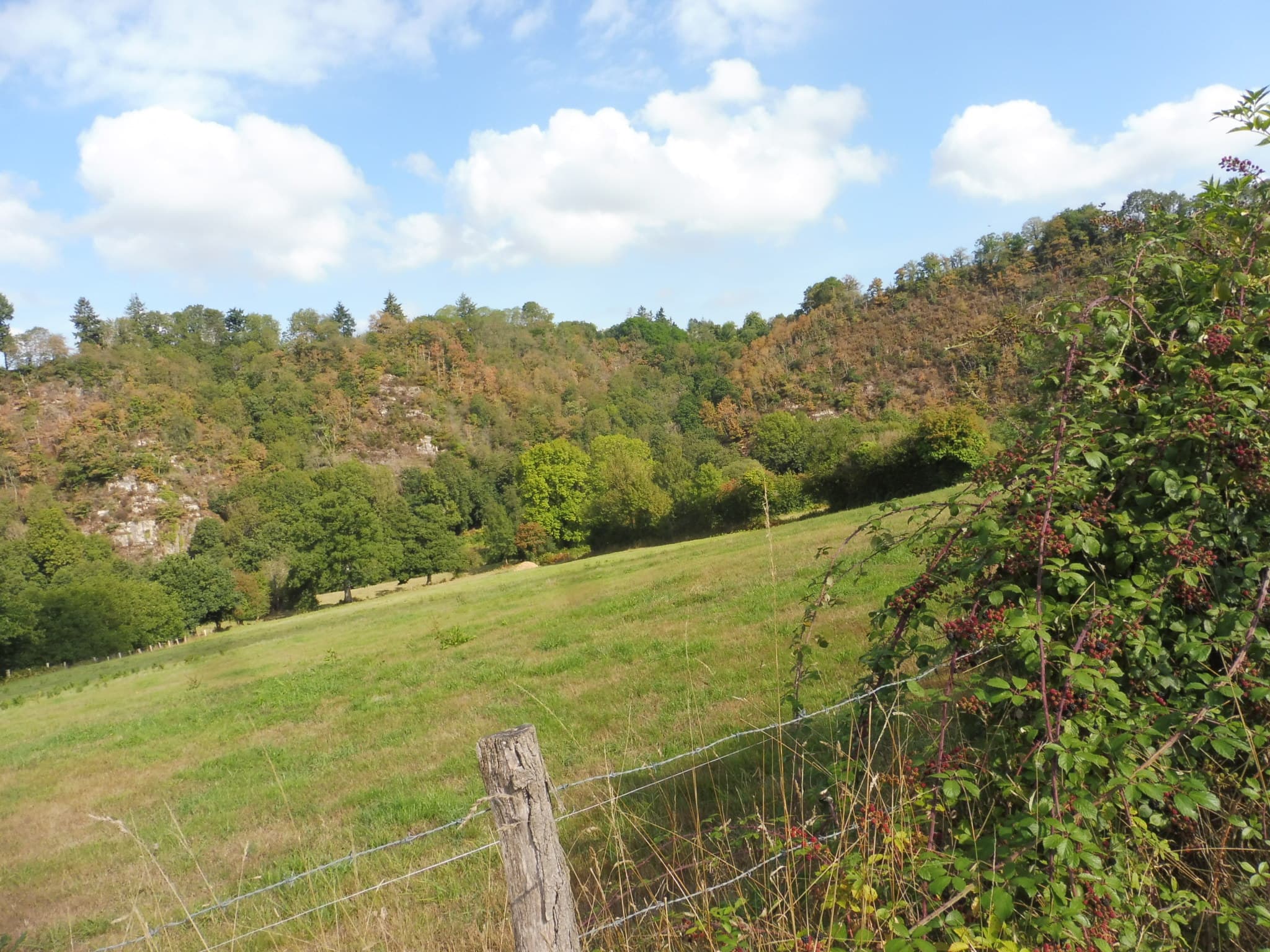Trail de la vallée de la Souleuvre - image
