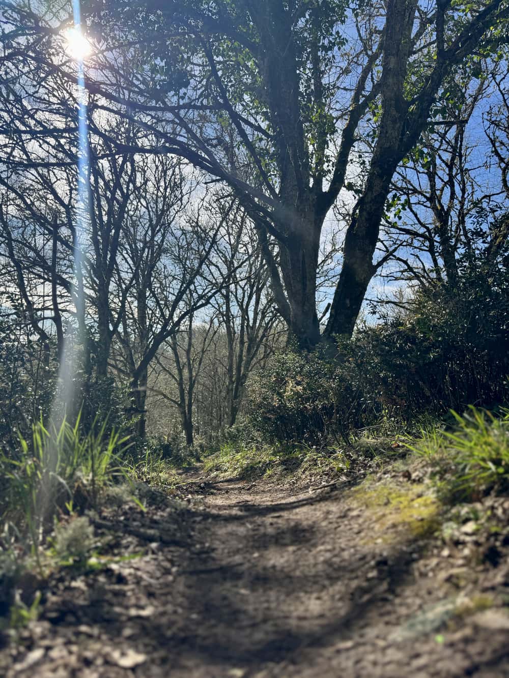 Backyard de Pâques - image 3