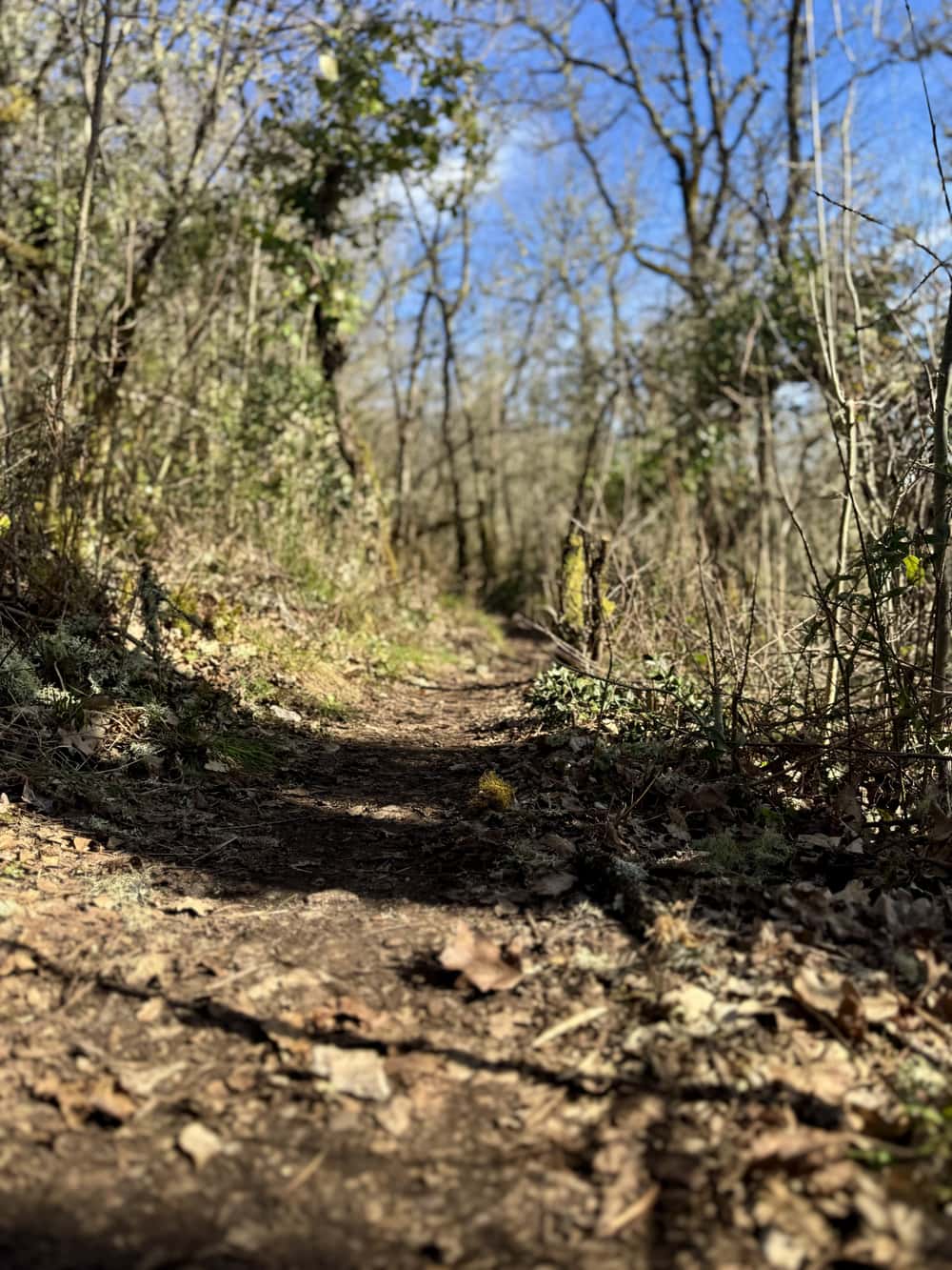 Backyard de Pâques - image 5