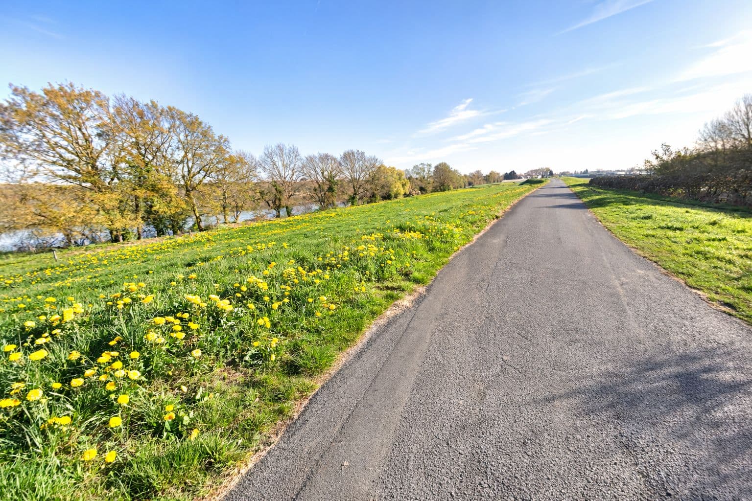 10km de Saint-Pryvé-Saint-Mesmin - image 2