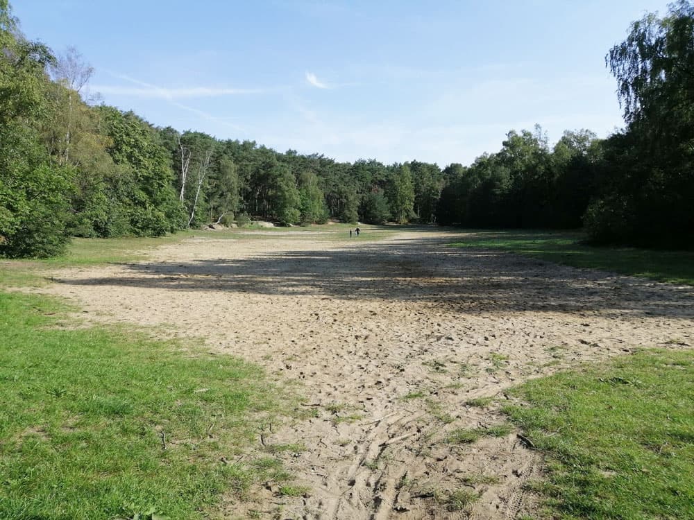 Ride MDS Endurance - image