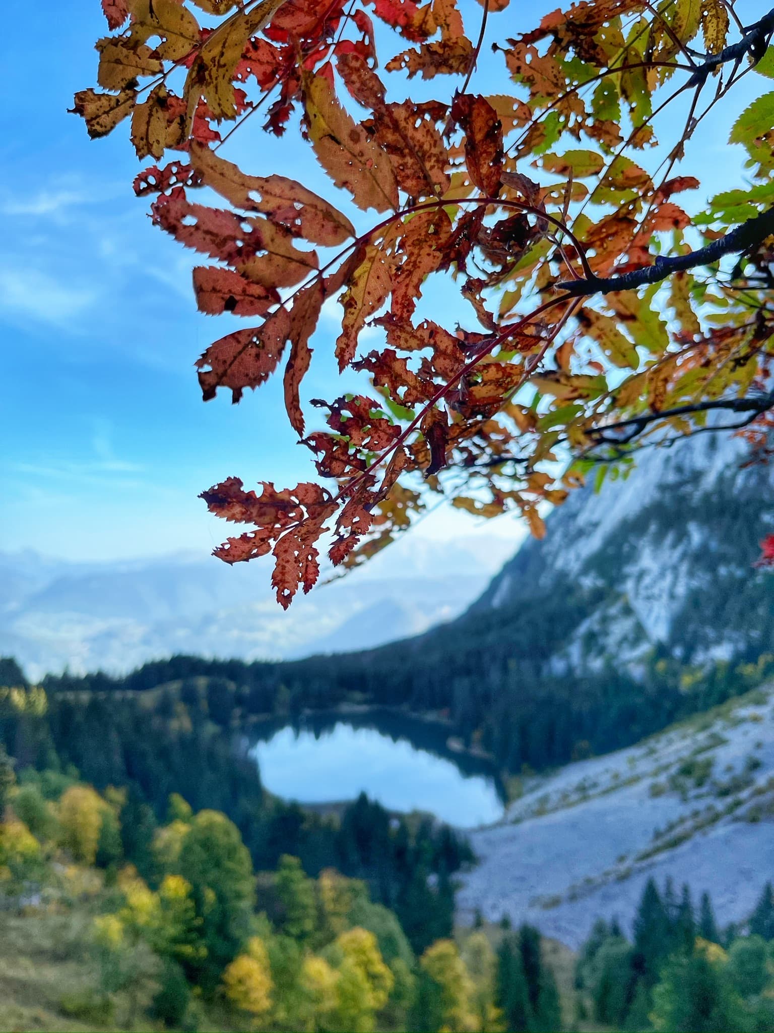 24h du Mont - image 2