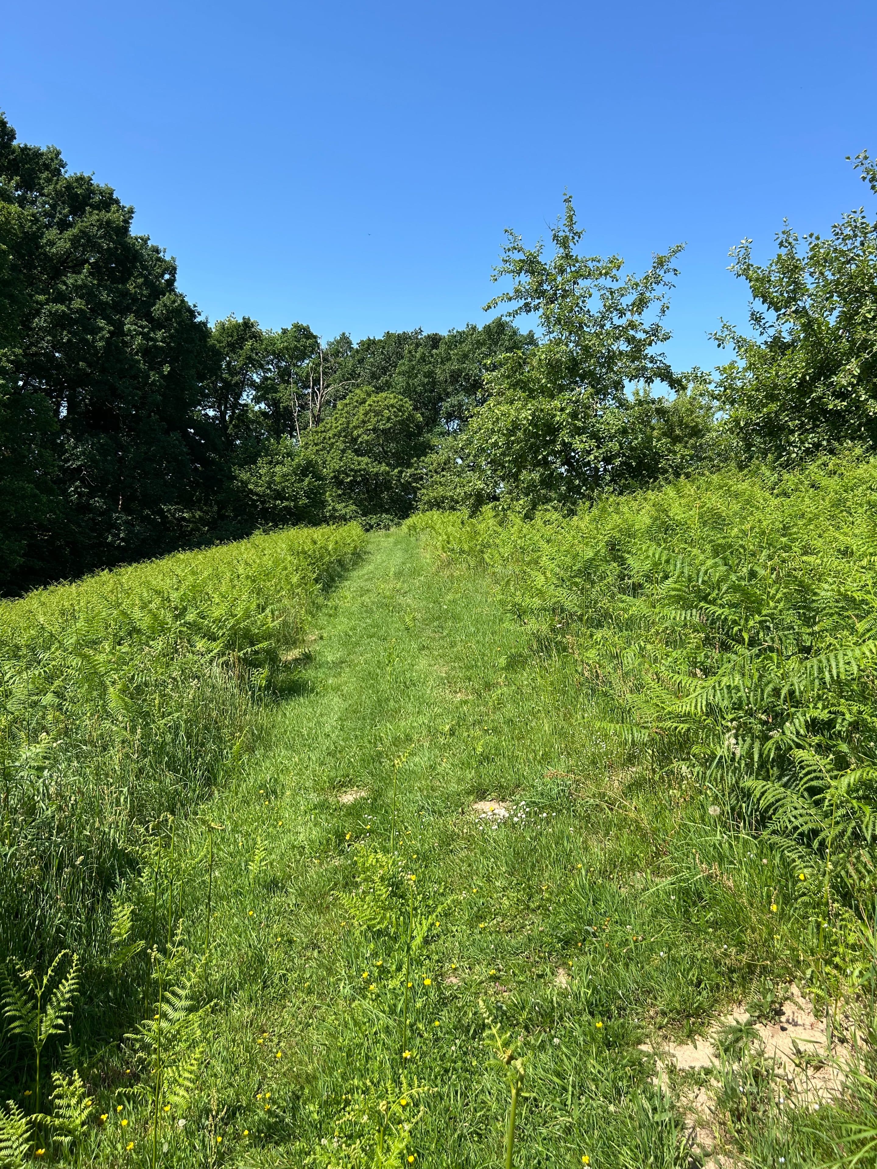 Farm Trail - image 3