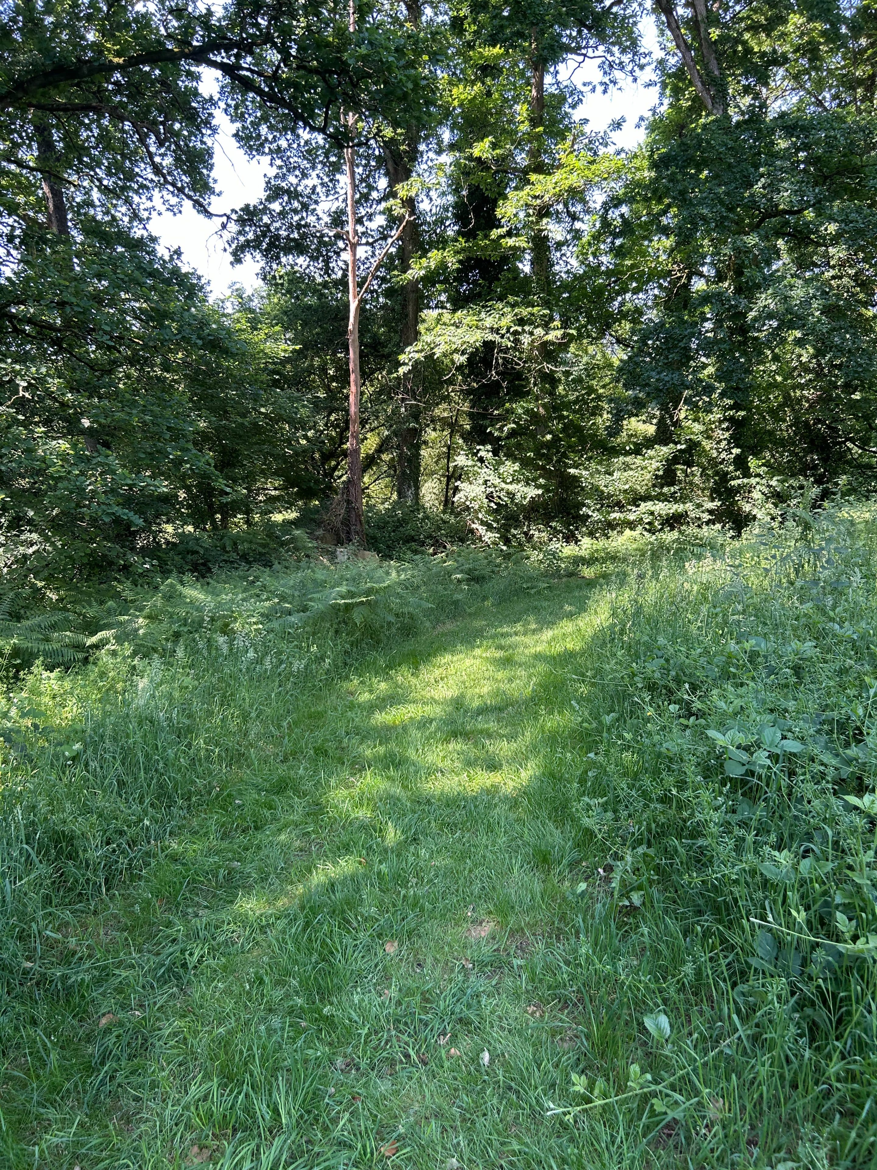 Farm Trail - image 5