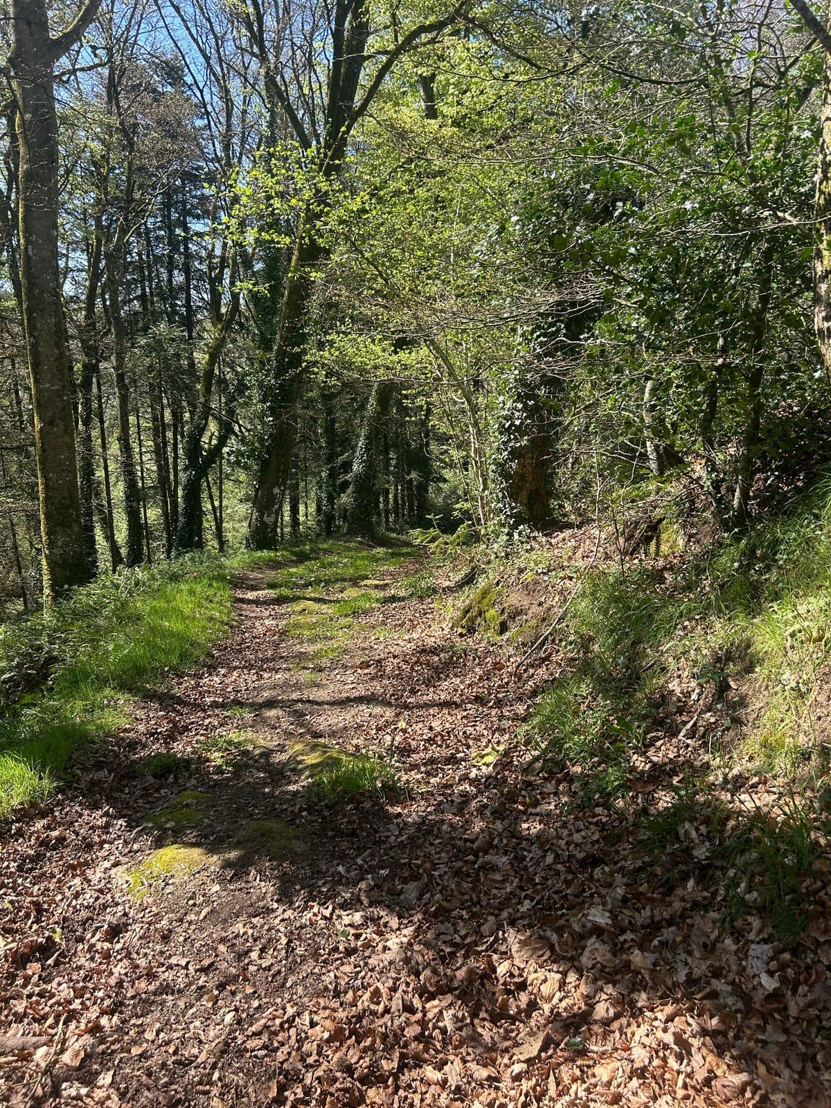 Farm Trail - image 2