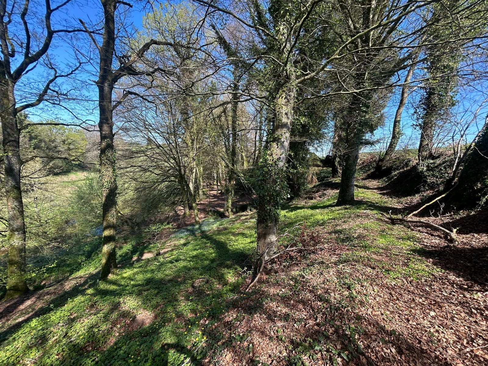 Farm Trail - image 4