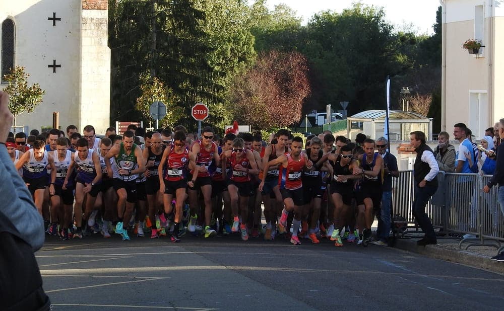 La prunelloise - image