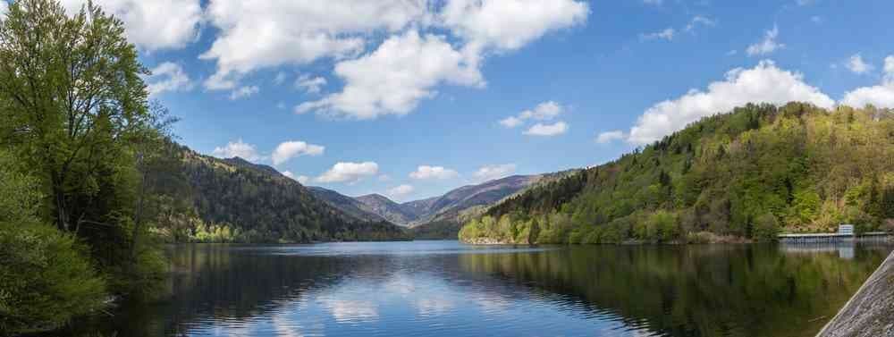 Les courses du lac - image