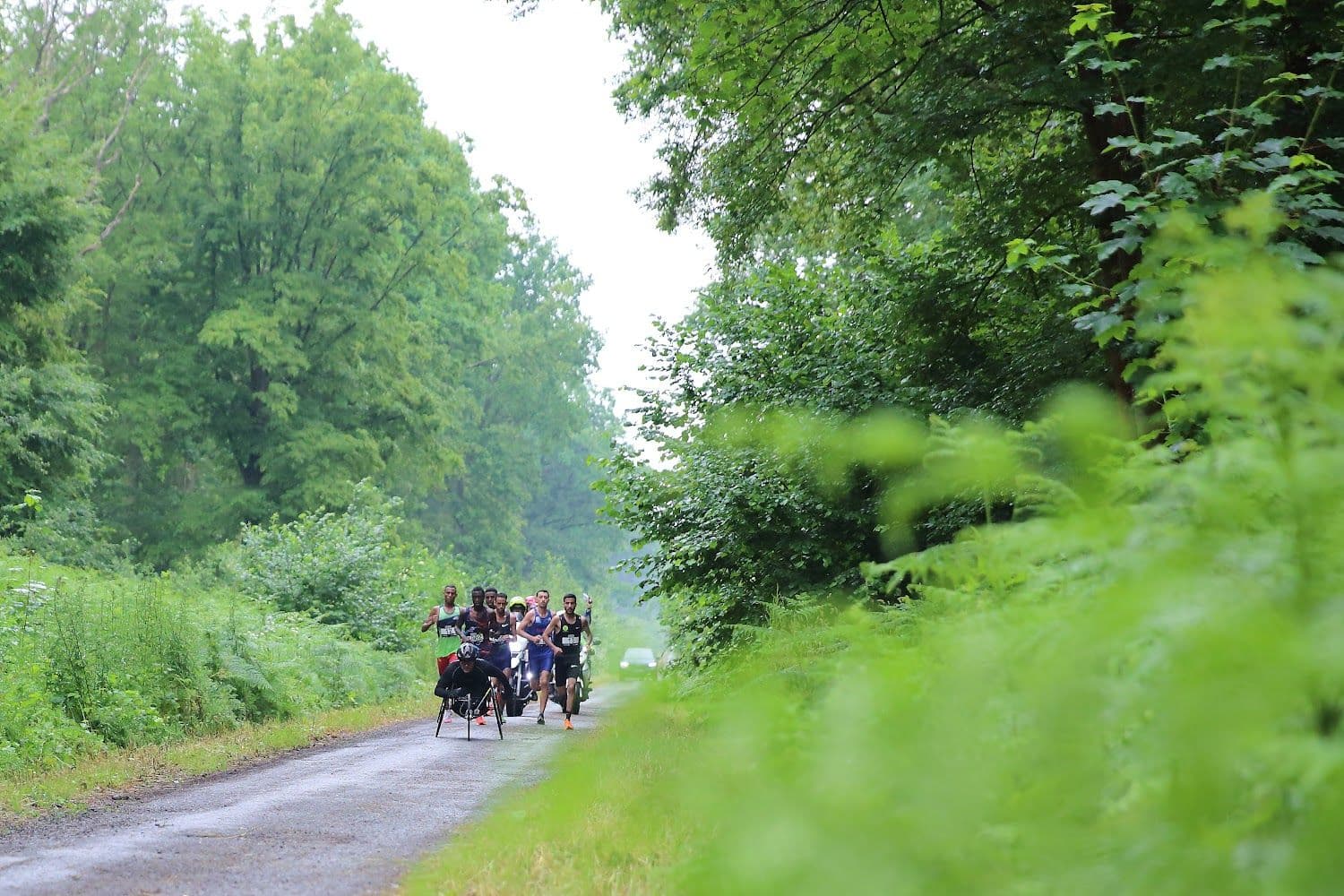 Semi-marathon de Phalempin - image