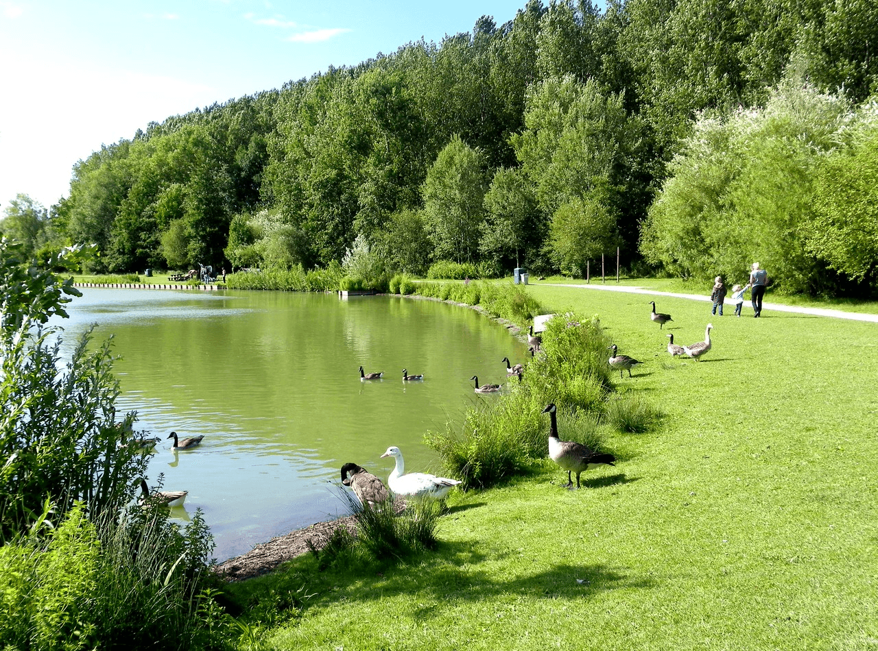 Run'in Nord - image 2