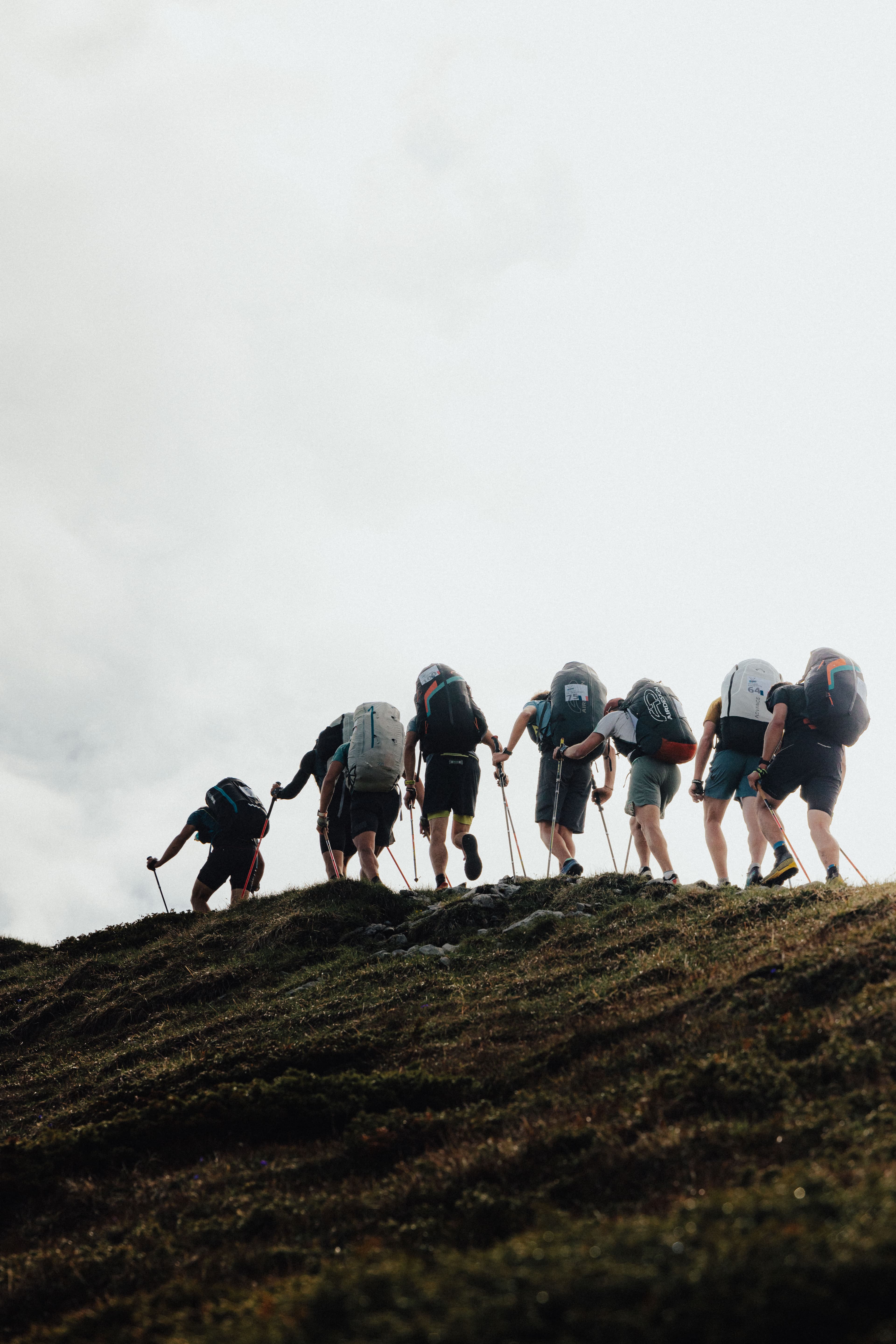 Bornes to fly - image 2