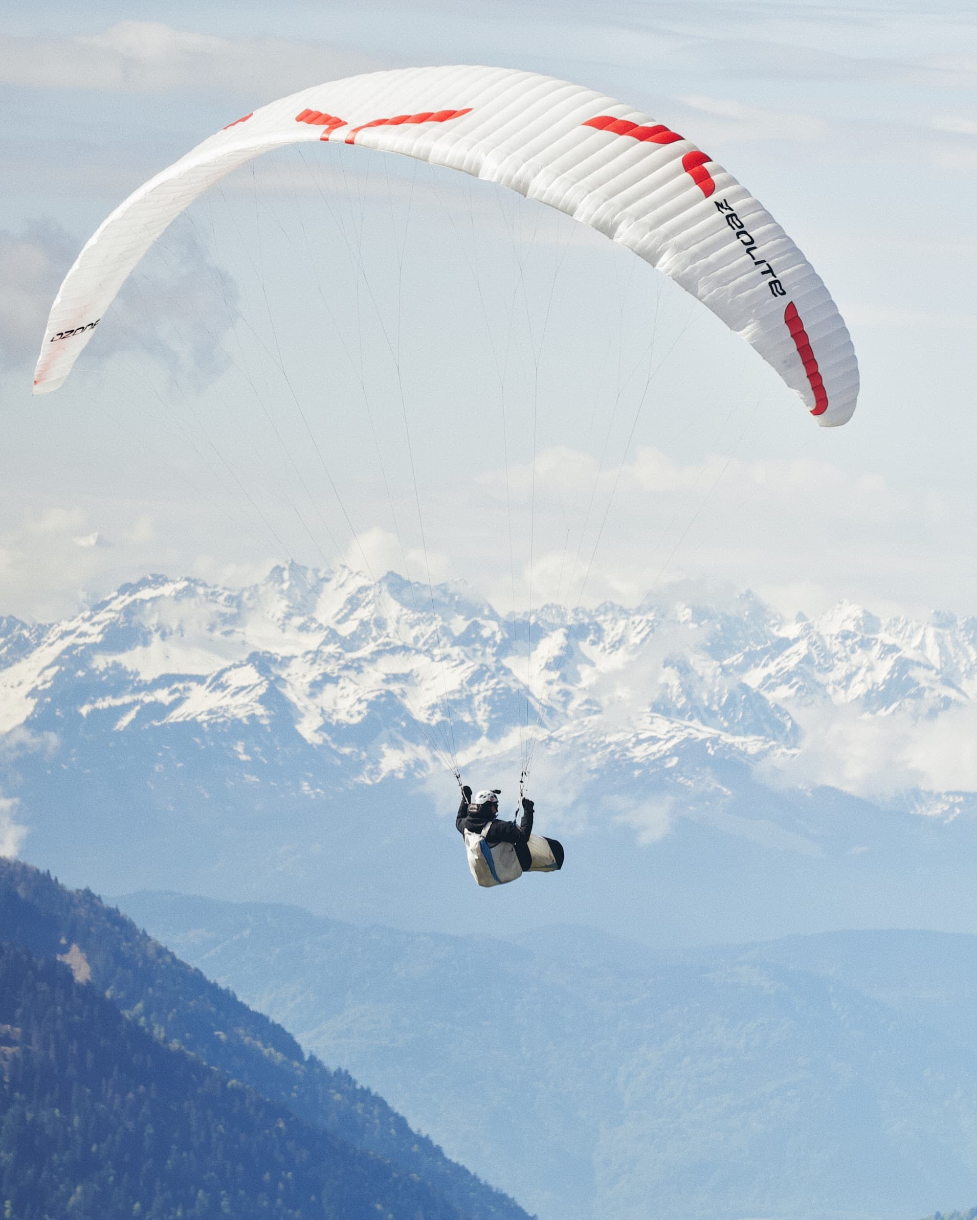 Bornes to fly - image 5