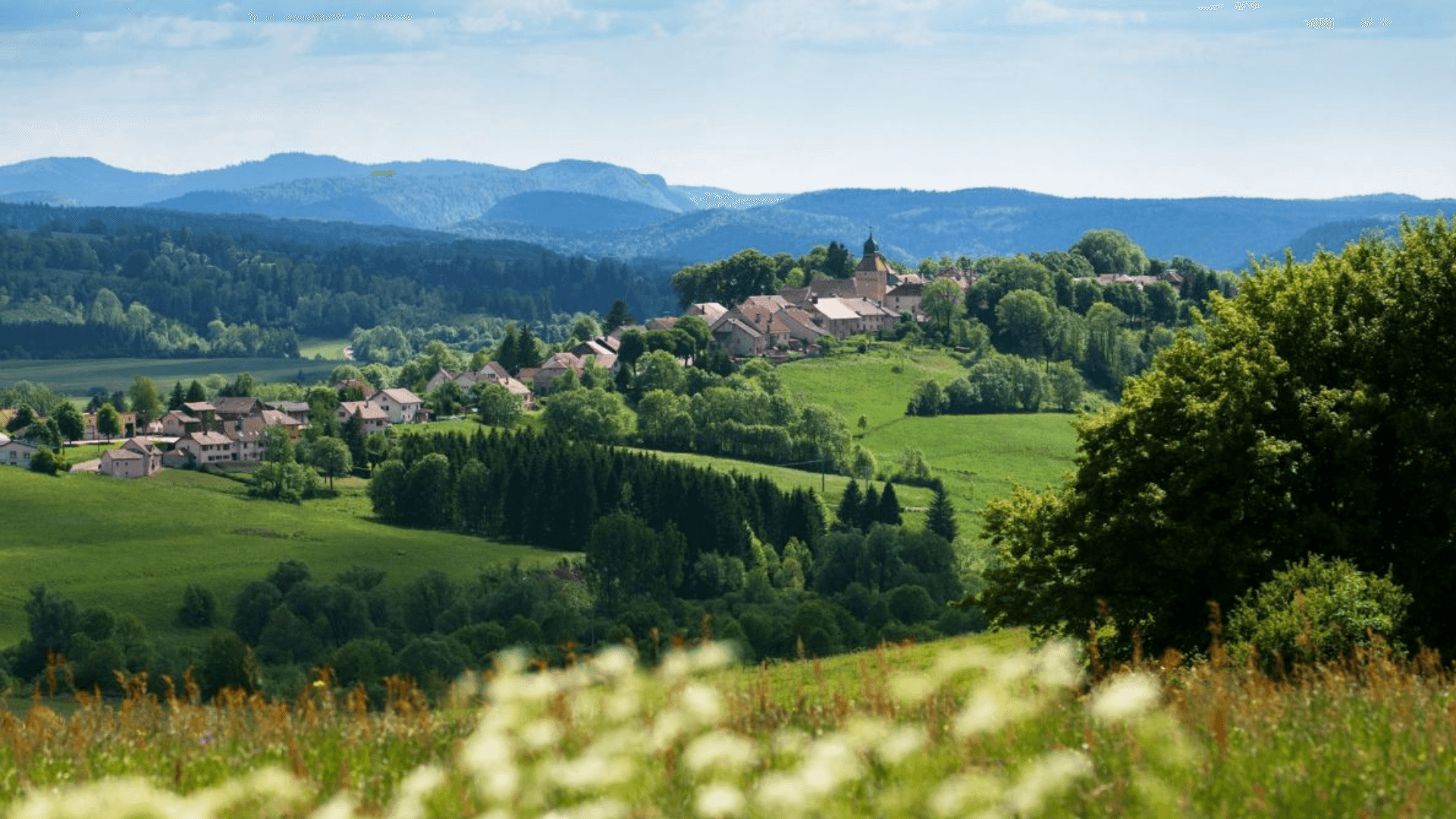 Zeoff Jura - image 1