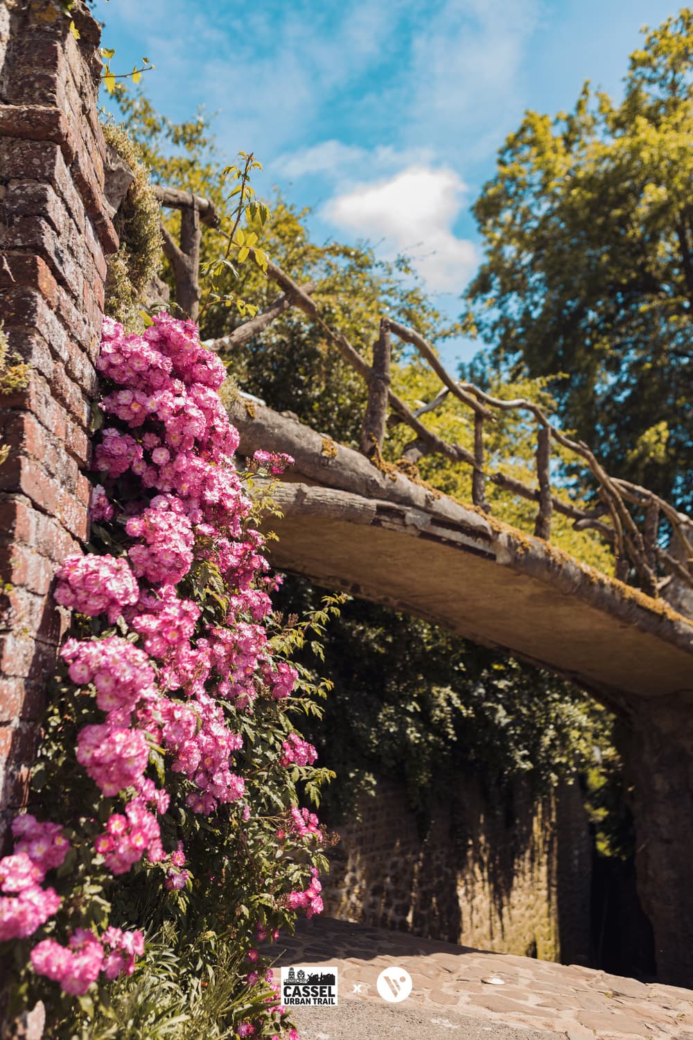 Vlaamsyard : Le Défi des Géants - image 2