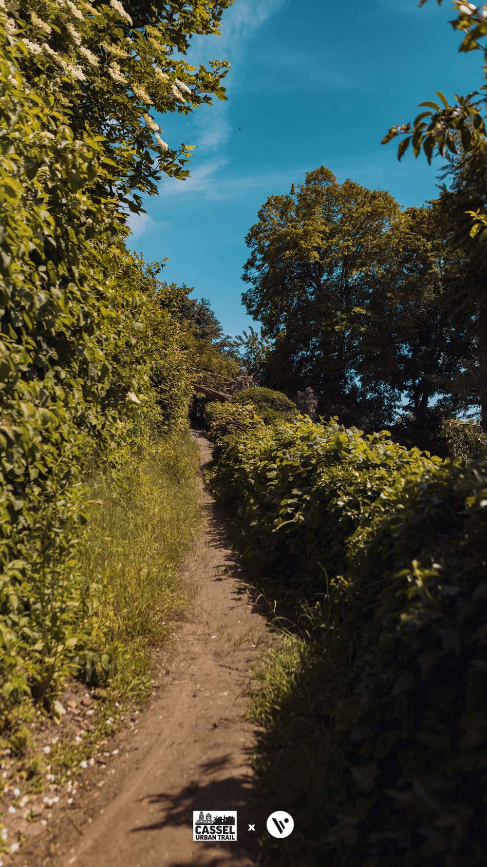 Vlaamsyard : Le Défi des Géants - image 3