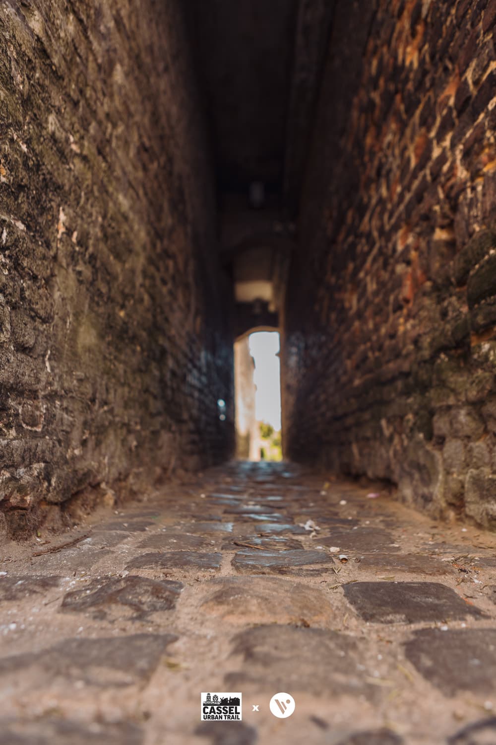 Vlaamsyard : Le Défi des Géants - image 4