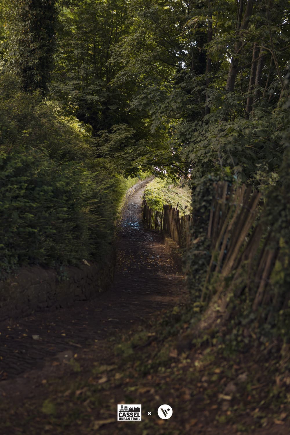 Vlaamsyard : Le Défi des Géants - image 5