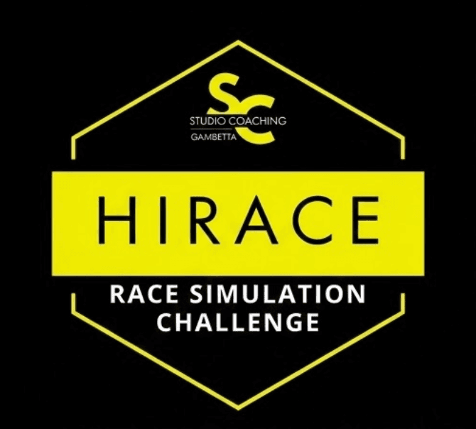 Hirace Race Simulation - image 2
