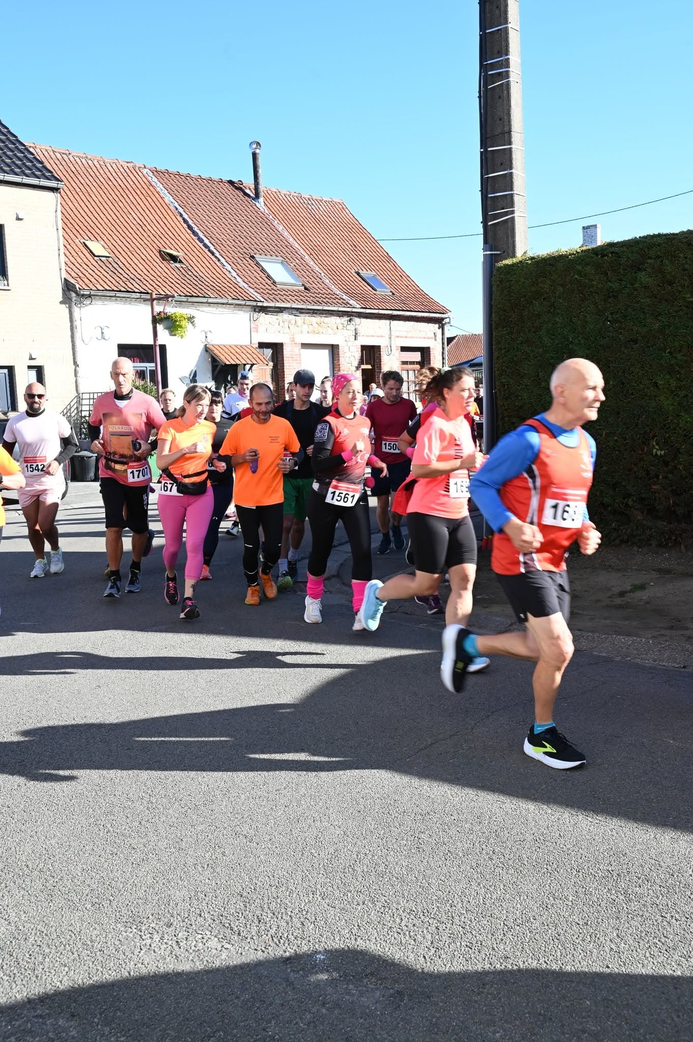 Les Pink Sisters - image