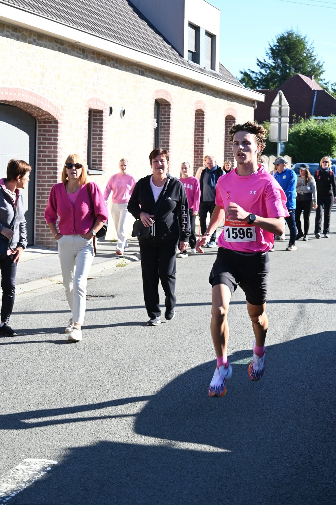 Les Pink Sisters - image 3