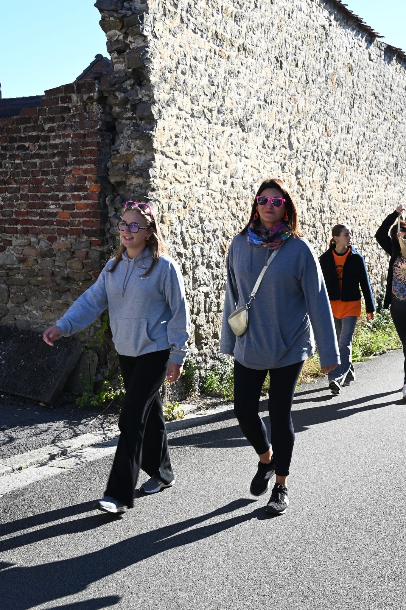 Les Pink Sisters - image 4