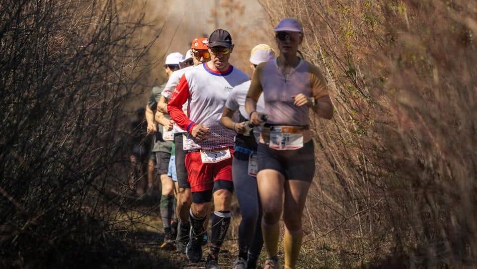 Chilly Last Runner - image 3