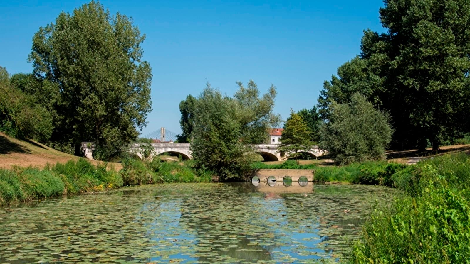 Les Foulées Unies - image 2