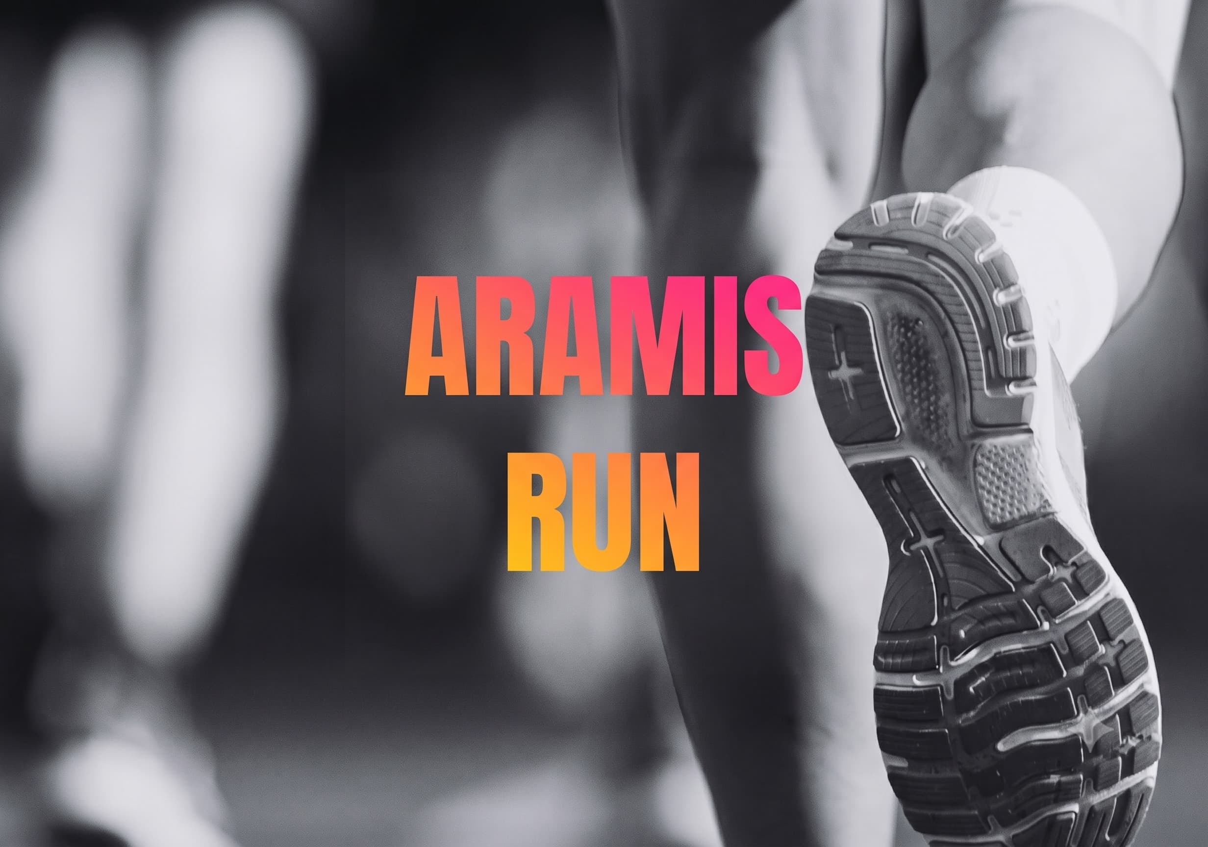 Aramis Run - image