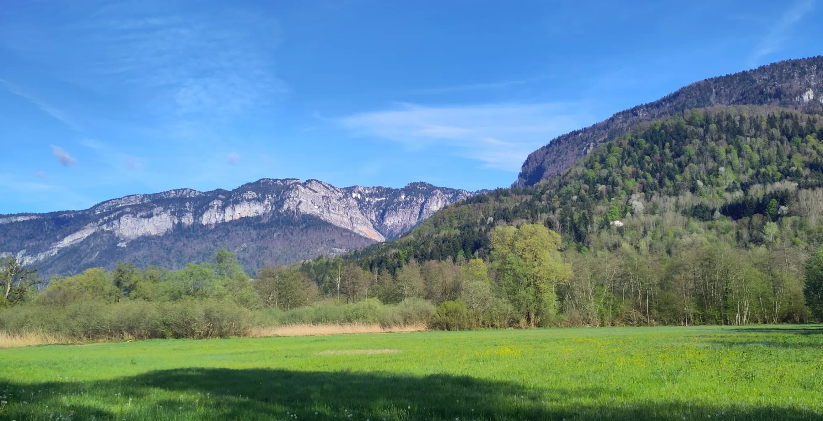 Le semi de la Chartreuse - image