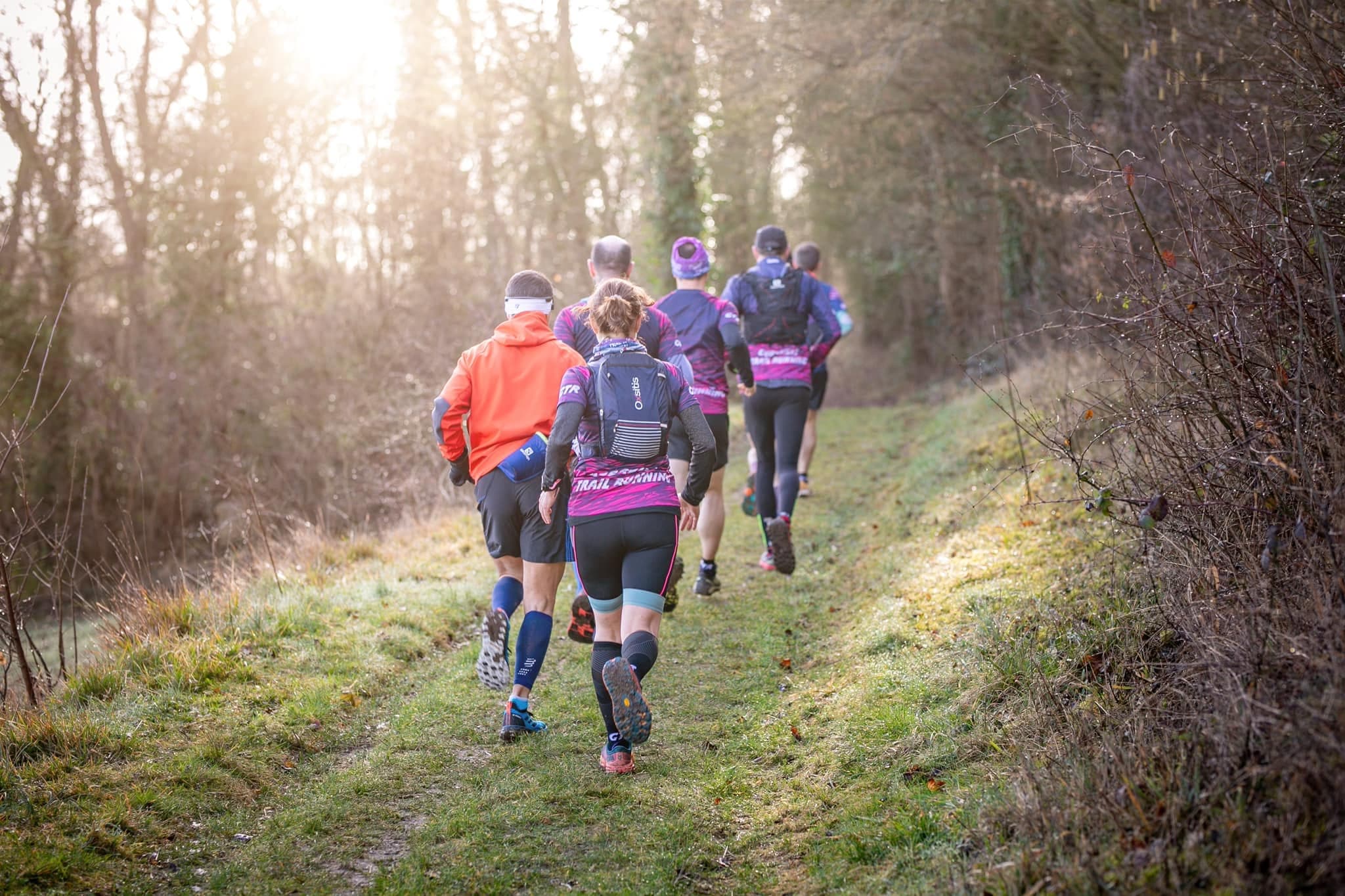 Trail Rose - image