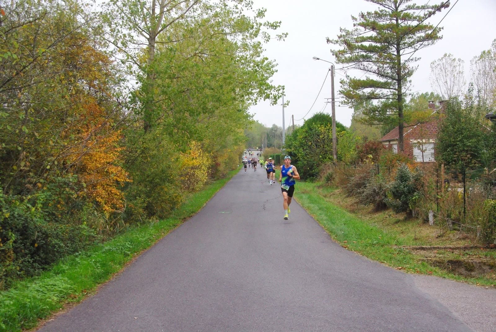 Fast Run Hensies - image