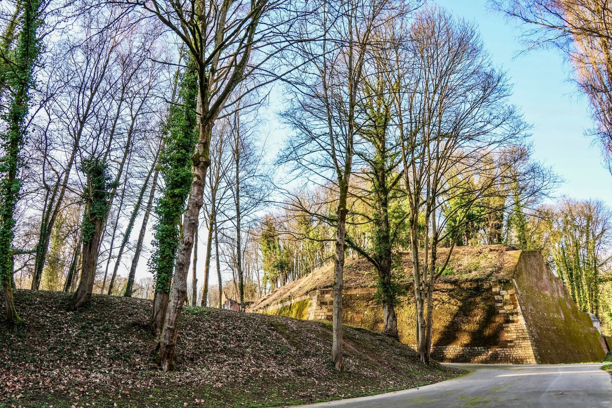 Courses Nature de la Citadelle d'Arras - image 4