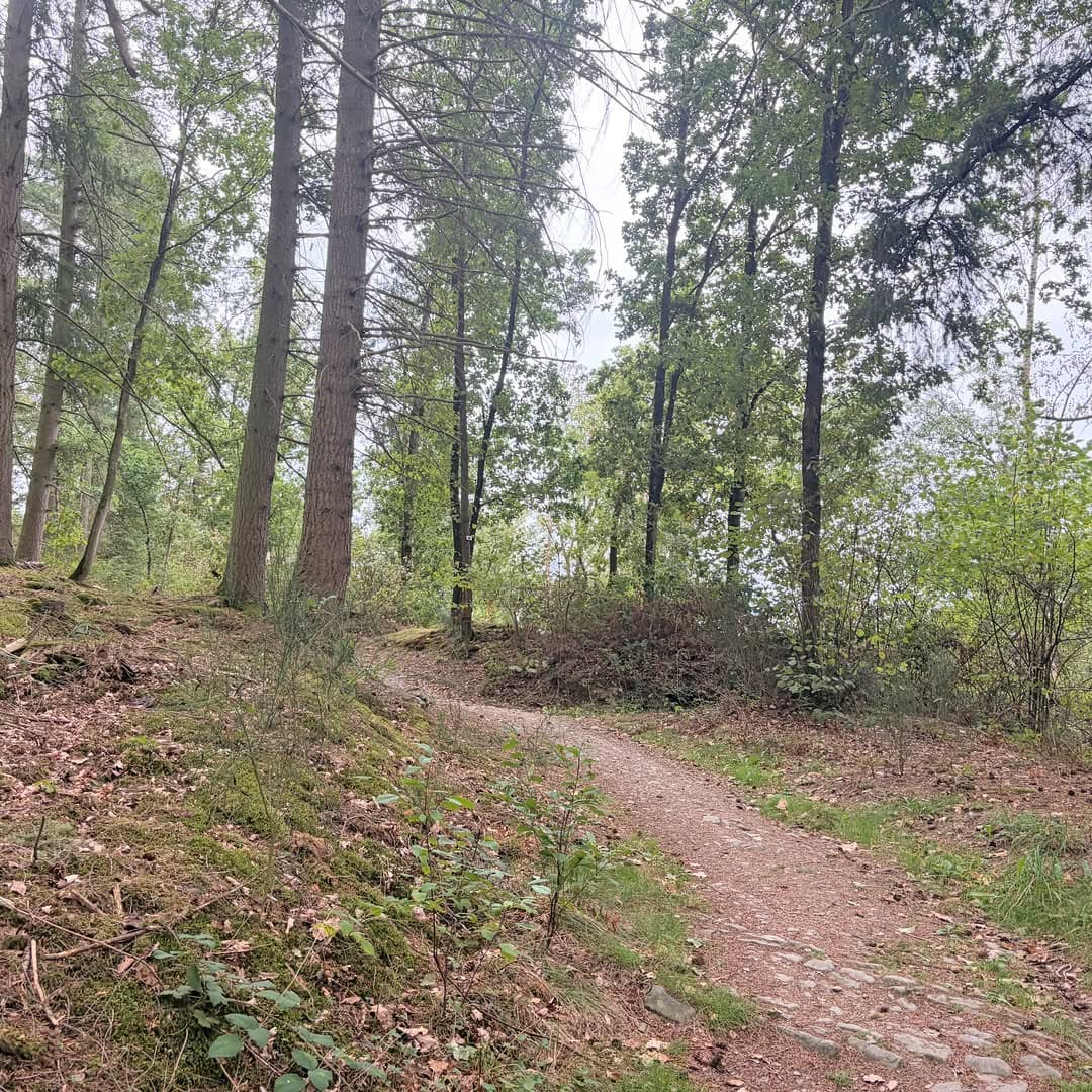 Rendeux trail expérience - RTX - image