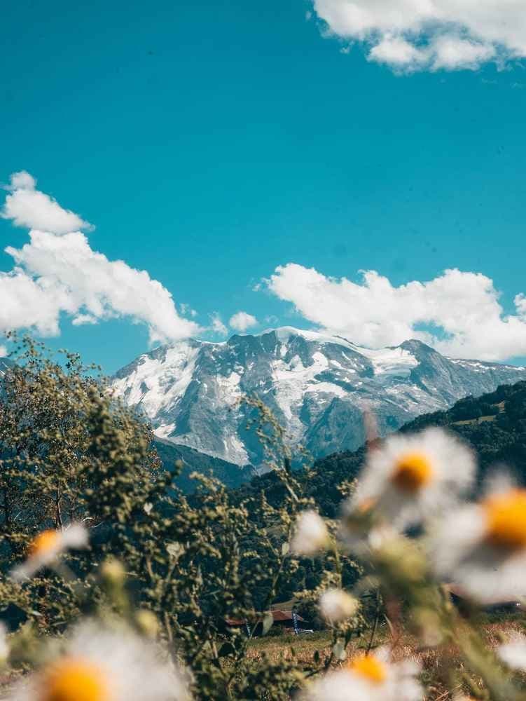 Marathon du Mont-Blanc - image