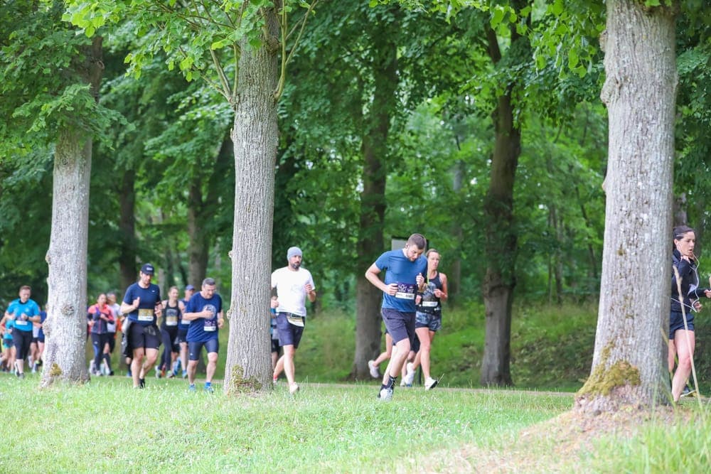 Running au Château de Versailles - image