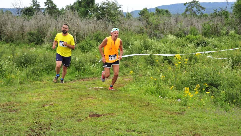 Course des bourriques - image