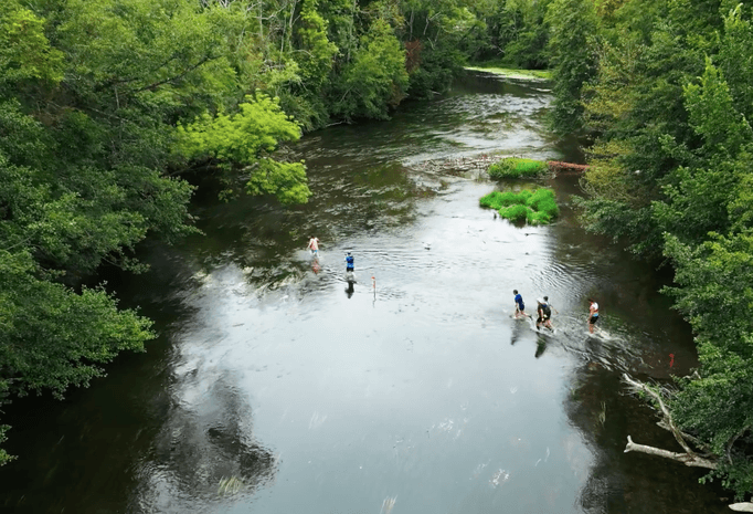 Trail d'Accolay - image