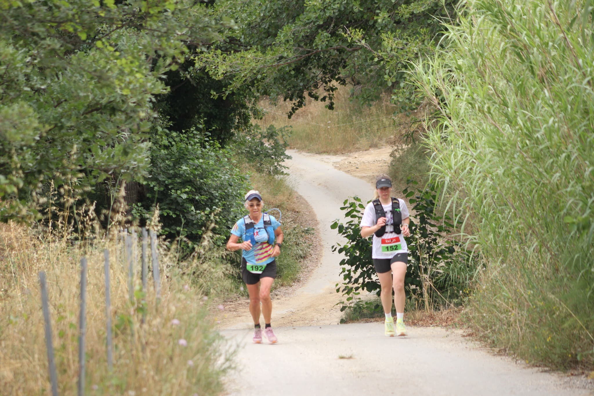 La panoramique - image