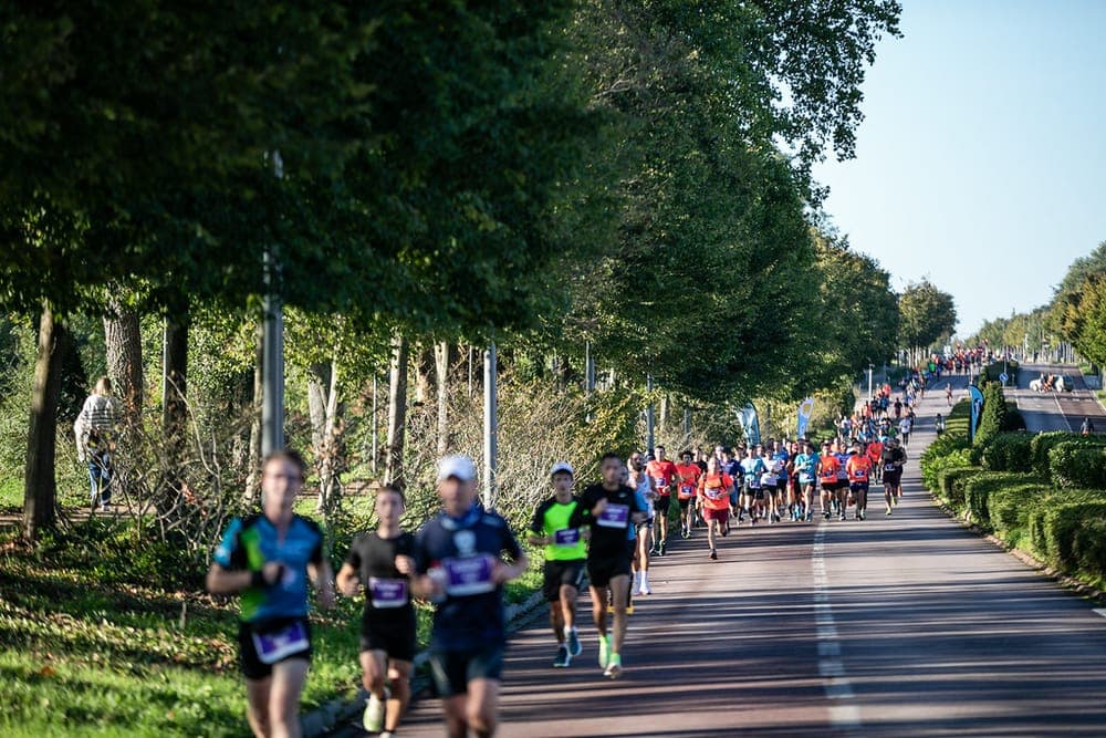 Seine marathon 76 - image
